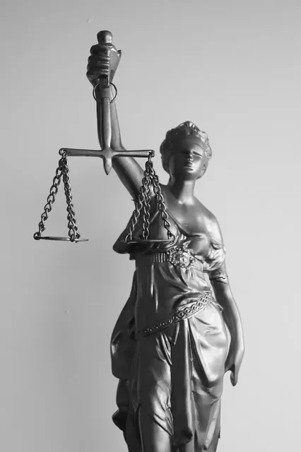 Imagen Galería 0